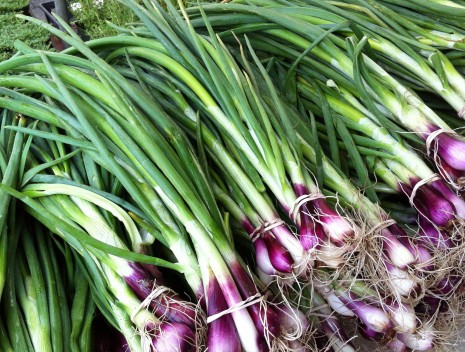 blog-June-onions
