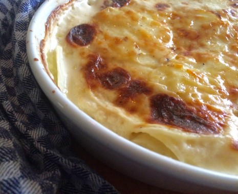 blog-potato gratin